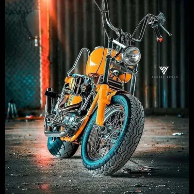 vinoth profile