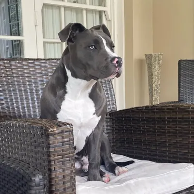 Duke profile