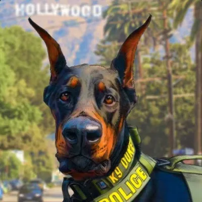 Duke (aka-Shenaniganator) profile