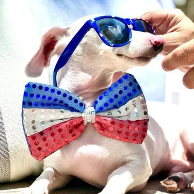Duke ๐ค Your Fav Albino Sausage profile