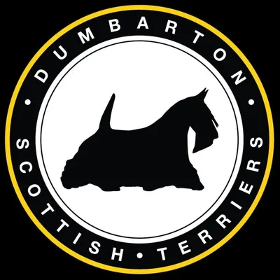 Dumbarton Scottish Terriers profile