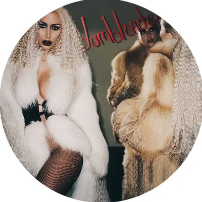 dumblonde profile