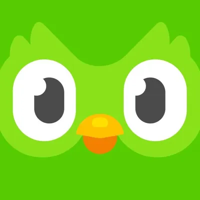 Duolingo profile