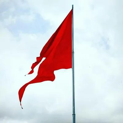 अस्सल दुर्ग प्रेमी 🚩 profile