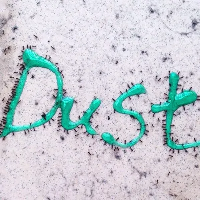 Dust 美日韓各國選貨 profile