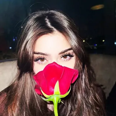 ضوء القمر profile