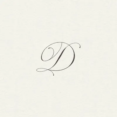 dylan bleue murphy profile