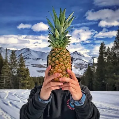 Dylan Walker profile