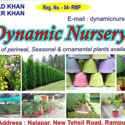 dynamicnursery profile