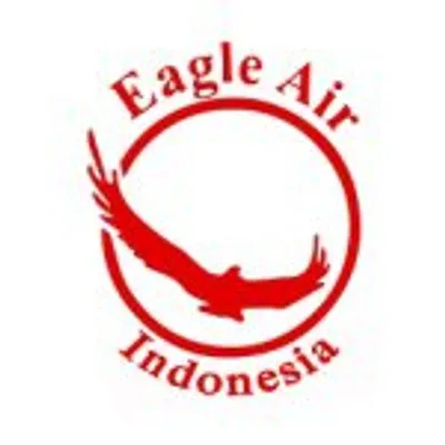 Eagle Air Academy profile
