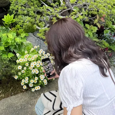 ɴᴀɴᴀ🐰🌽 profile