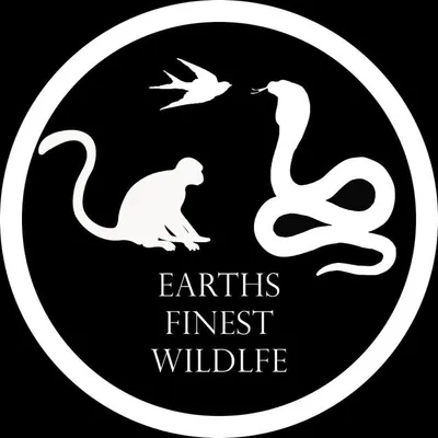 Earth's Finest Wildlife profile
