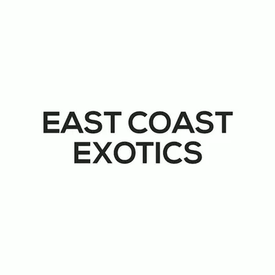 East Coast Exotics™️ profile
