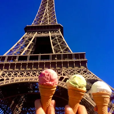 Eat : Travel : Fun profile