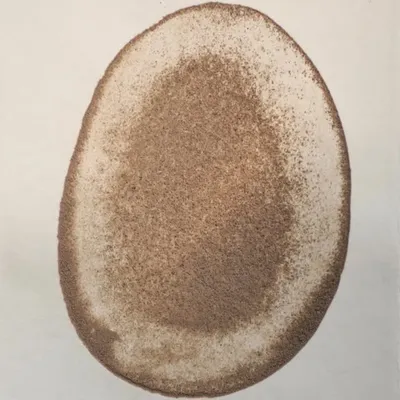 eatrip soil profile