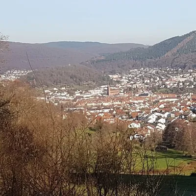 Eberbach & Odenwald ๐๐ณโฐ๐ฒ profile