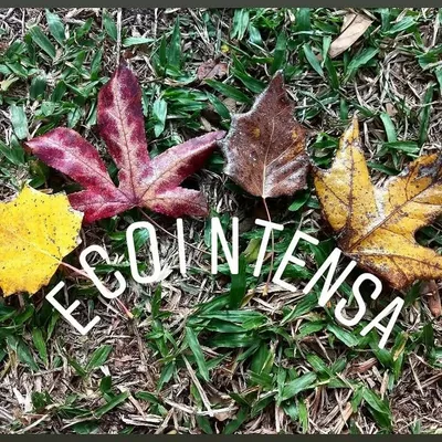 🌾ecointensa🌿 Nati Mazzei profile
