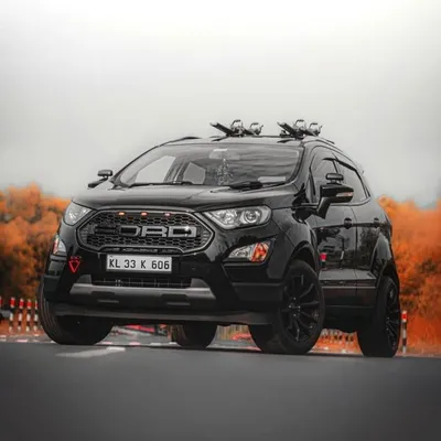 Ecosport Owners Club profile