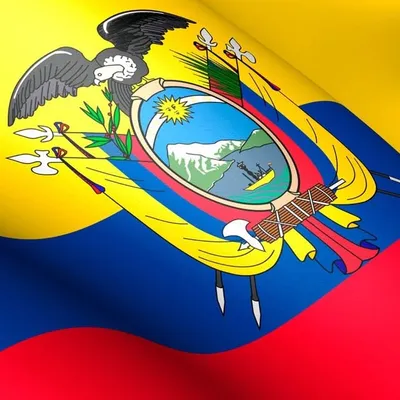 Ecuador ๐ช๐จ profile
