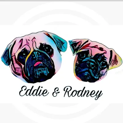 Eddie the pug & Rodney Jug profile