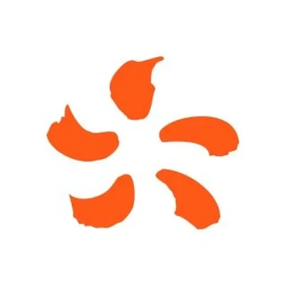 EDF Foot profile