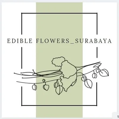 EDIBLE FLOWERS_SBY profile
