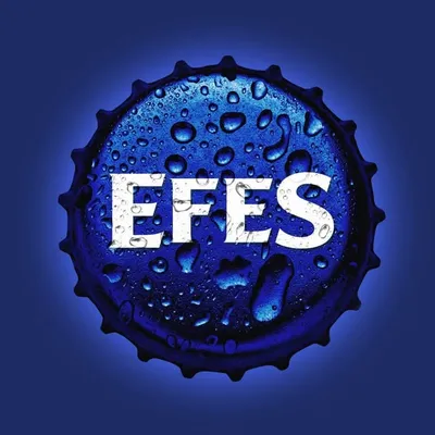 EFES profile