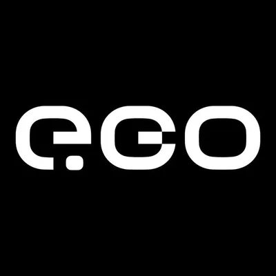 e.GO Mobile profile