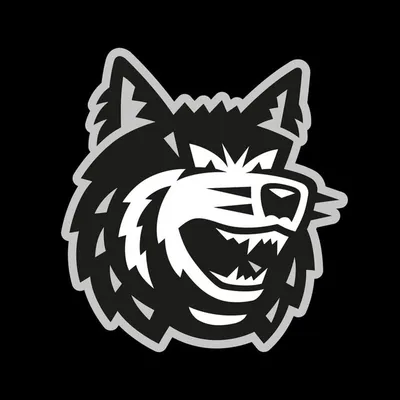 EHC Freiburg e.V. profile