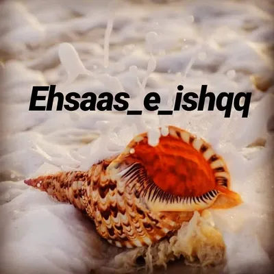 Ehsaas_e_ishqq profile