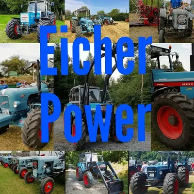 Eicher profile