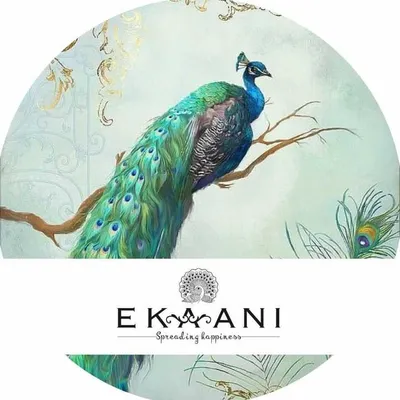Ekaani - Spreading Happiness profile