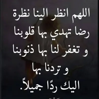 Wael El Ghamry profile