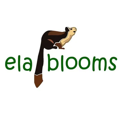 ELA Blooms stays wayanad profile