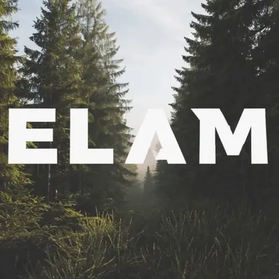 ELAM profile
