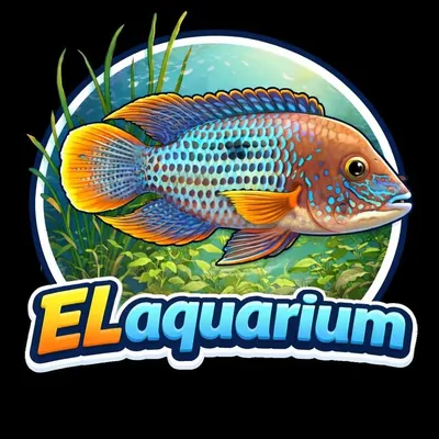 E.L.๐ profile