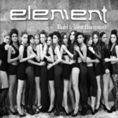 Element Model & Talent Management profile