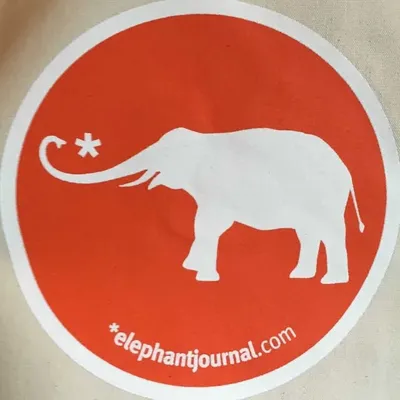 Elephant Journal profile