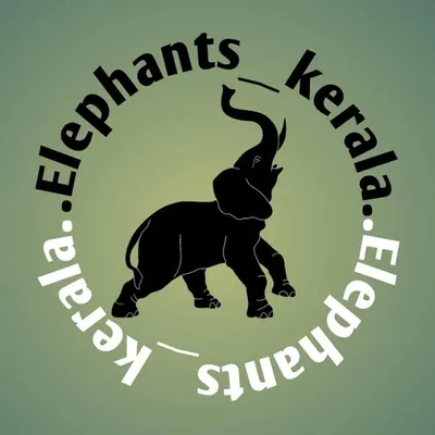 🐘elephants__kerala ❤️(20k) profile