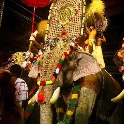 ★ Elephants Kerala ★ആന കേരളം★ profile