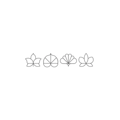 Eleven Madison Park profile