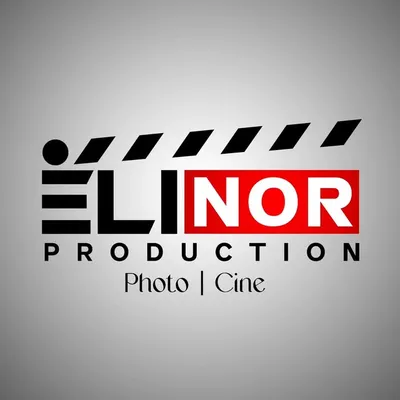 ELINOR PRODUCTION (FILMS🎥) BY:- CHIRAG SHAH profile
