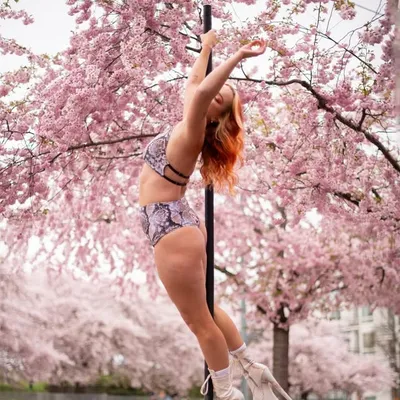 Elin Persson profile