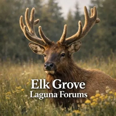 Elk Grove Laguna News profile