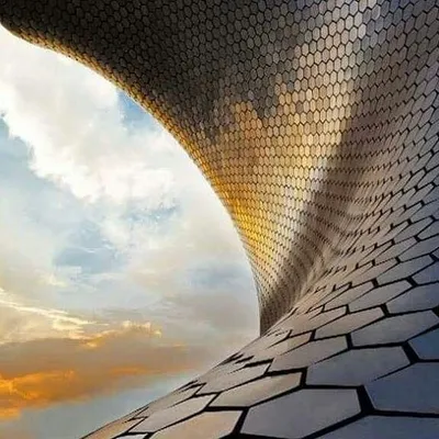Museo Soumaya profile