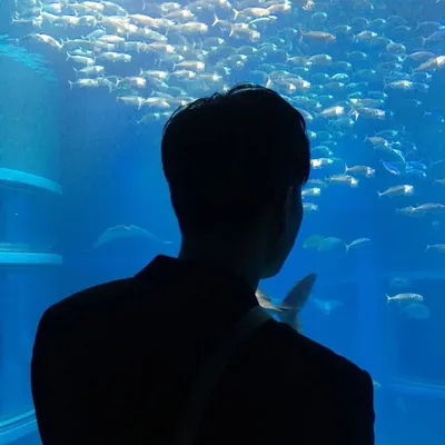 profile