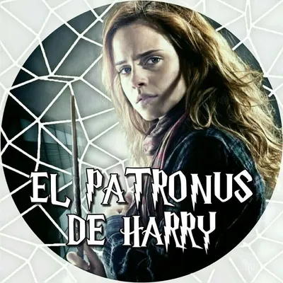 ✨Multifandom✨ profile
