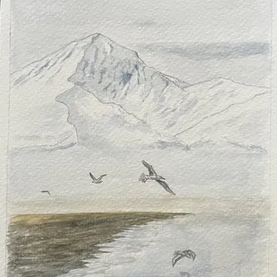 A. V. profile