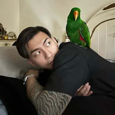 elvis profile
