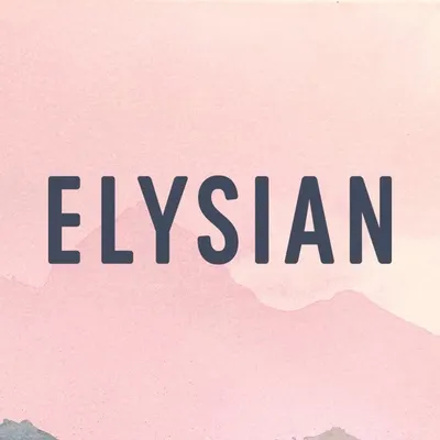 Elysian Coffee Roasters profile